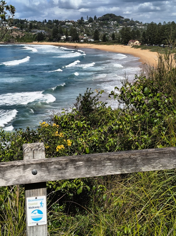 Newport Beach, Manly to Palm Beach Trail, Sydney NSW