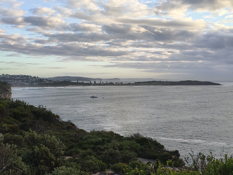 Dee Why Beach