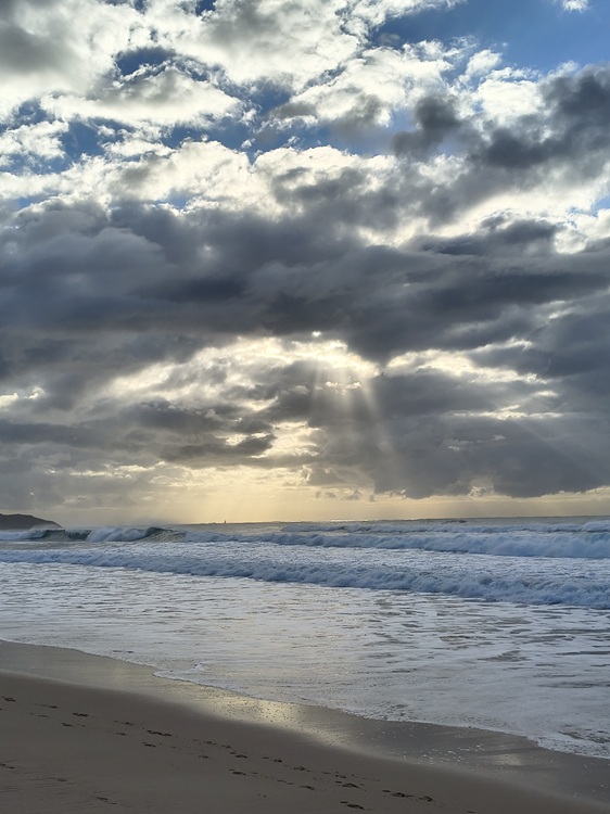 Dee Why Beach