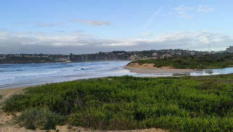 Dee Why Beach