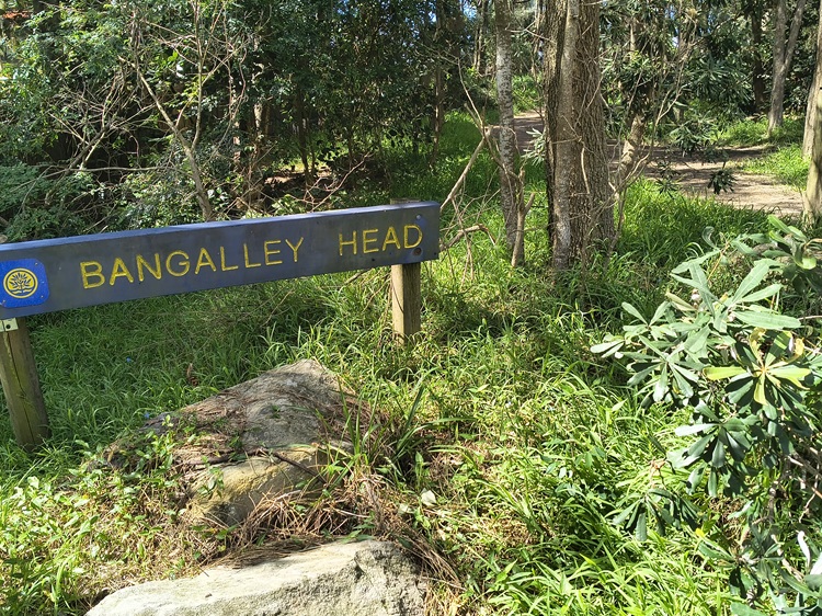 Bangalley Head, Manly to Palm Beach Trail, Sydney NSW