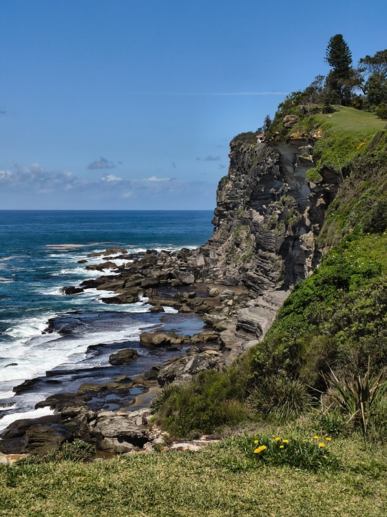 Bangalley Head, Manly to Palm Beach Trail, Sydney NSW