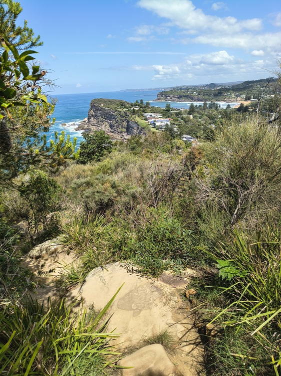 Bangalley Head, Manly to Palm Beach Trail, Sydney NSW