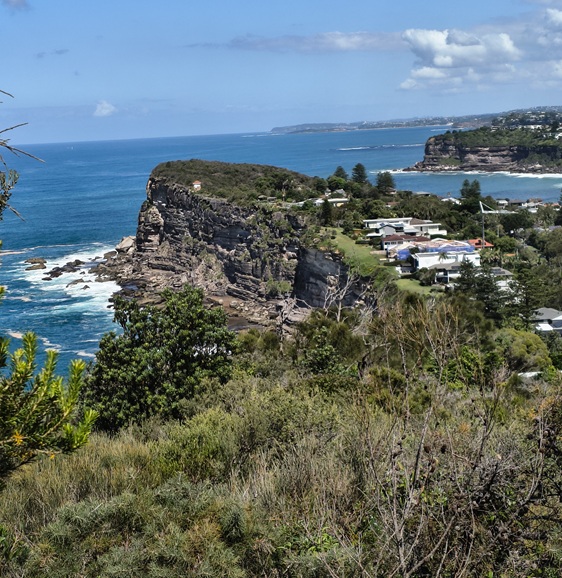 Bangalley Head, Manly to Palm Beach Trail, Sydney NSW