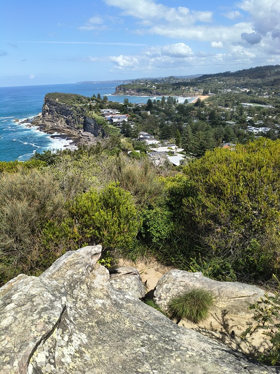 Bangalley Head, Manly to Palm Beach Trail, Sydney NSW