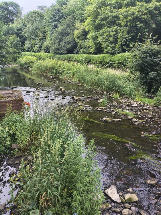 Water of Leith, Edinburgh, Scotland