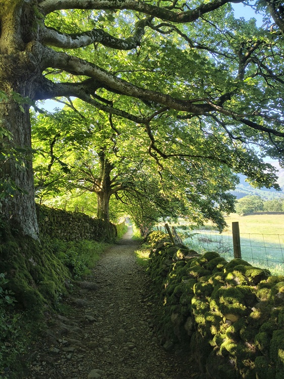 Coast to Coast Path, England