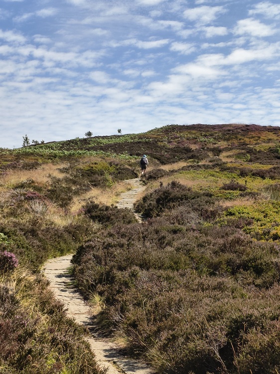 Coast to Coast Path, England