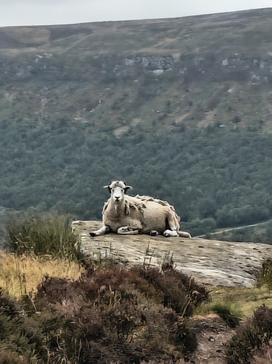 Coast to Coast Path, England