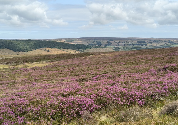 Coast to Coast Path, England