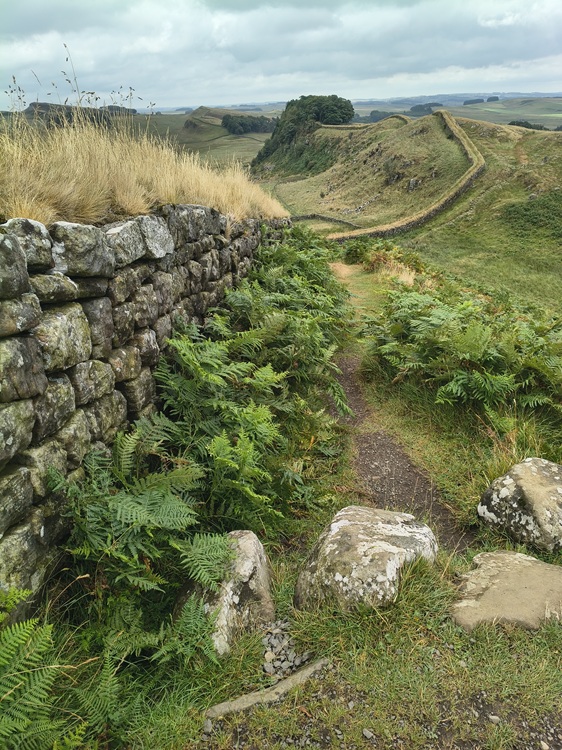 Hadrian's Wall Path, England. 