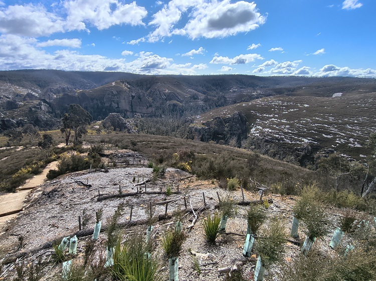 Gardens of Stone State Conservation Area - Lost City Walk, Lithgow NSW