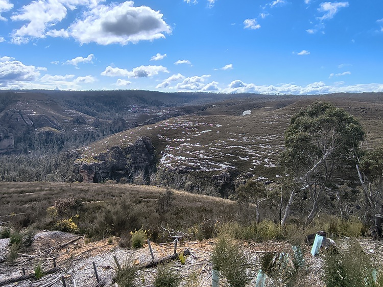 Gardens of Stone State Conservation Area - Lost City Walk, Lithgow NSW