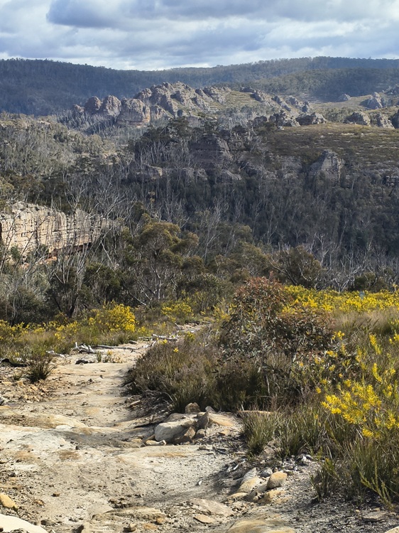 Gardens of Stone State Conservation Area - Lost City Walk, Lithgow NSW