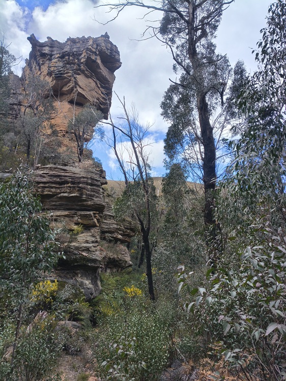 Gardens of Stone State Conservation Area - Lost City Walk, Lithgow NSW