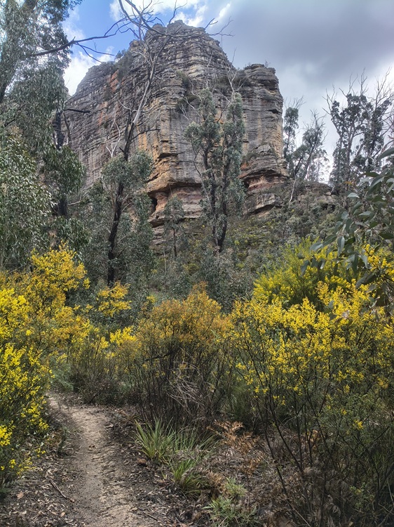 Gardens of Stone State Conservation Area - Lost City Walk, Lithgow NSW