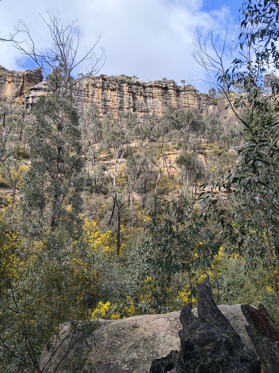 Gardens of Stone State Conservation Area - Lost City Walk, Lithgow NSW