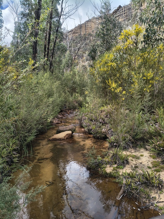 Gardens of Stone State Conservation Area - Lost City Walk, Lithgow NSW