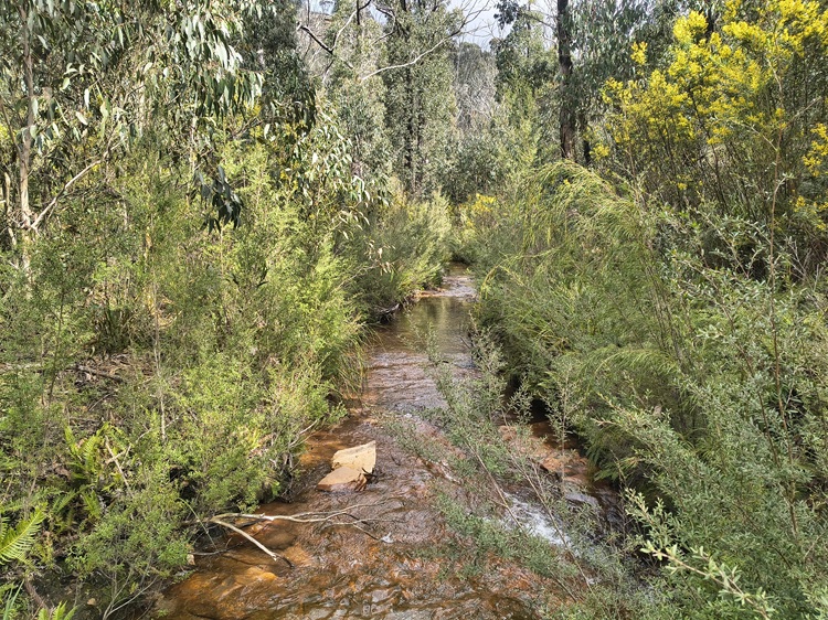 Gardens of Stone State Conservation Area - Lost City Walk, Lithgow NSW