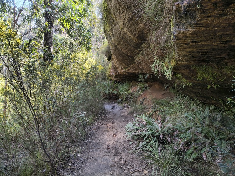 Gardens of Stone State Conservation Area - Lost City Walk, Lithgow NSW