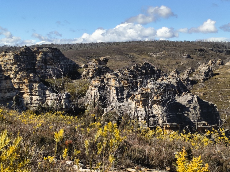 Gardens of Stone State Conservation Area - Lost City Walk, Lithgow NSW