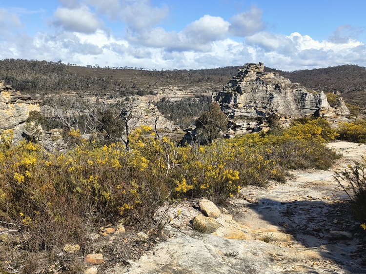 Gardens of Stone State Conservation Area - Lost City Walk, Lithgow NSW