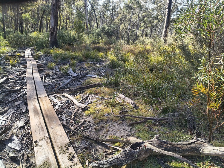 Broad Swamp Loop Trail, Gardens of Stone State Conservation Area - Lithgow NSW