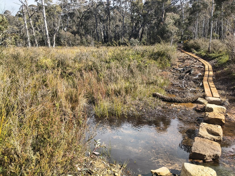Broad Swamp Loop Trail, Gardens of Stone State Conservation Area - Lithgow NSW
